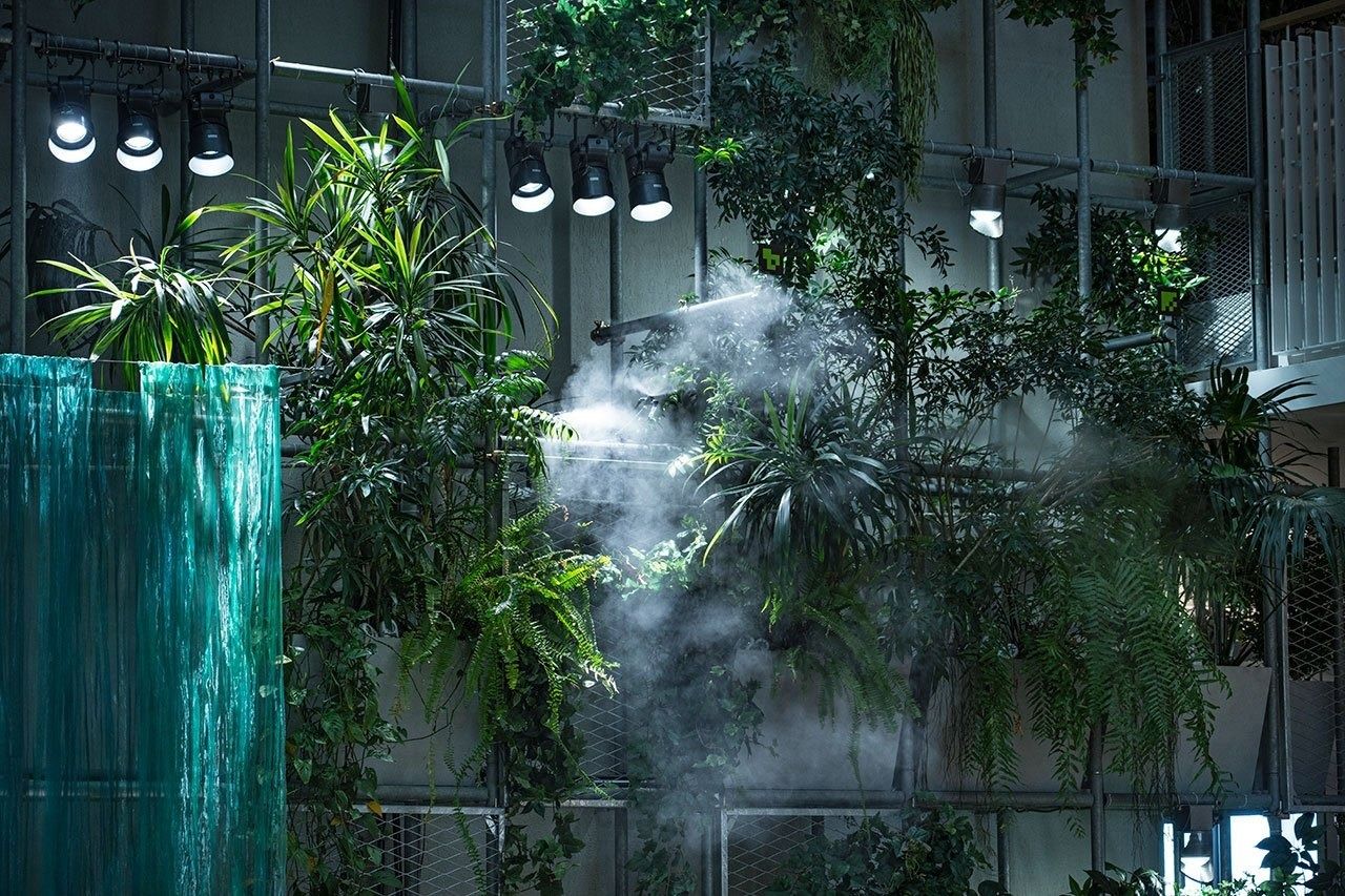 Panasonic: Misted plants and hanging glass strands in a dim atrium