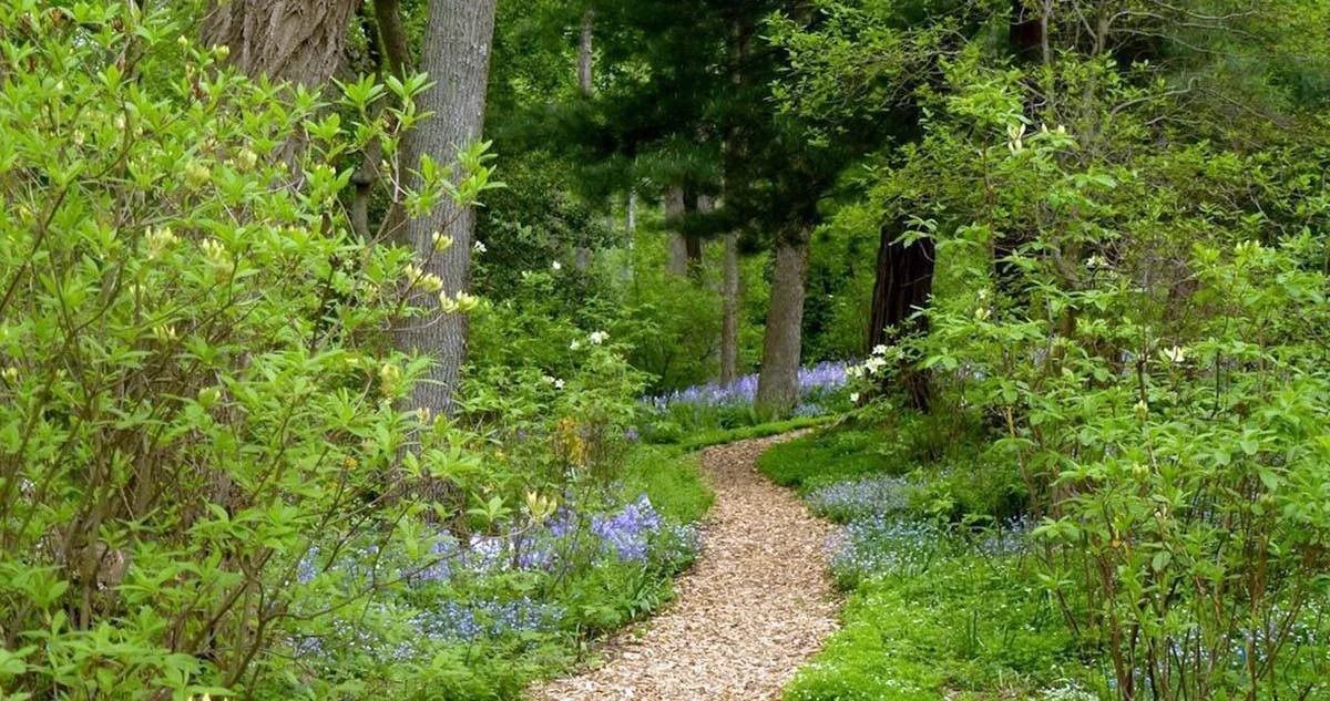 PepsiCo: A woodland path in the gardens