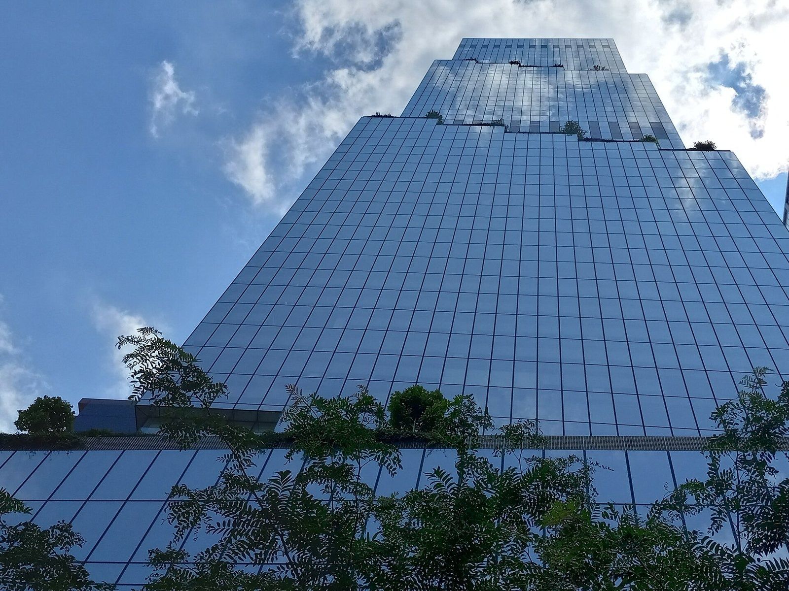 Pfizer: The Spiral seen from below through trees