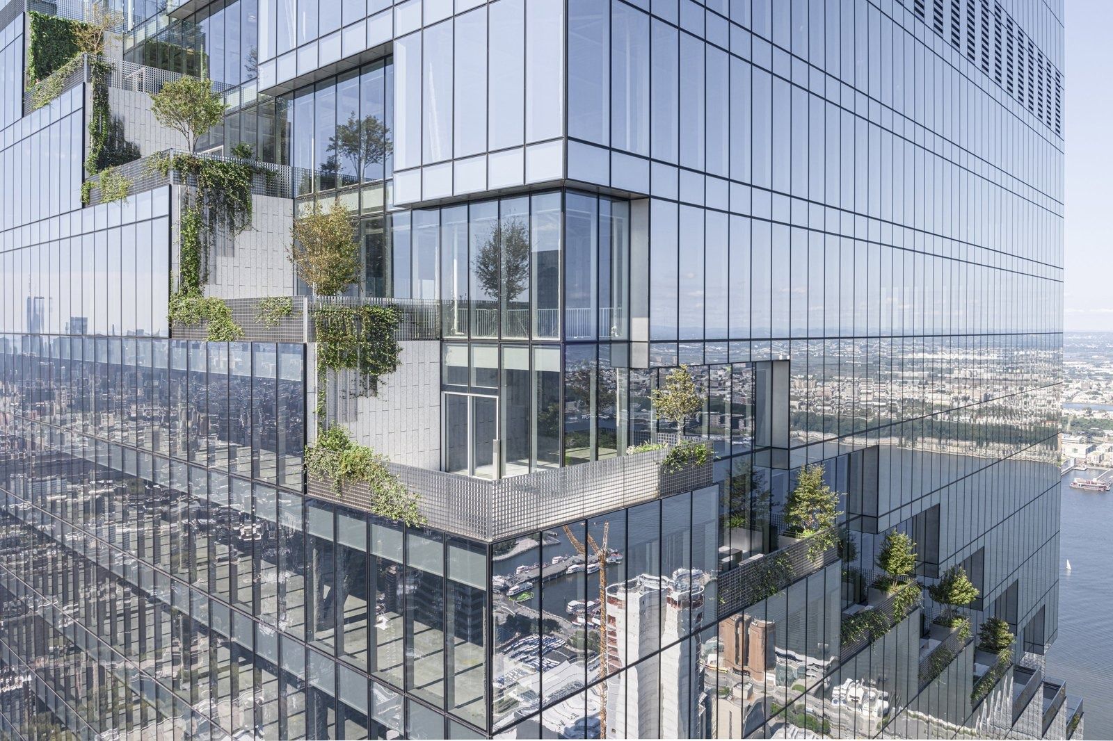 Pfizer: Trees on a terrace cut into the glass facade