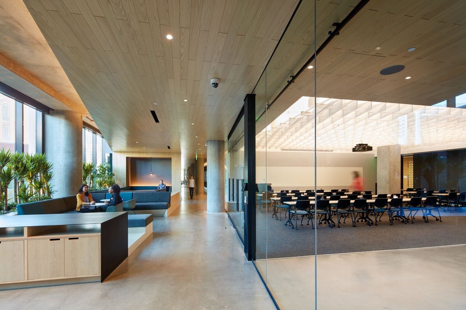 Pinterest: An open floor with plants and a glass meeting room