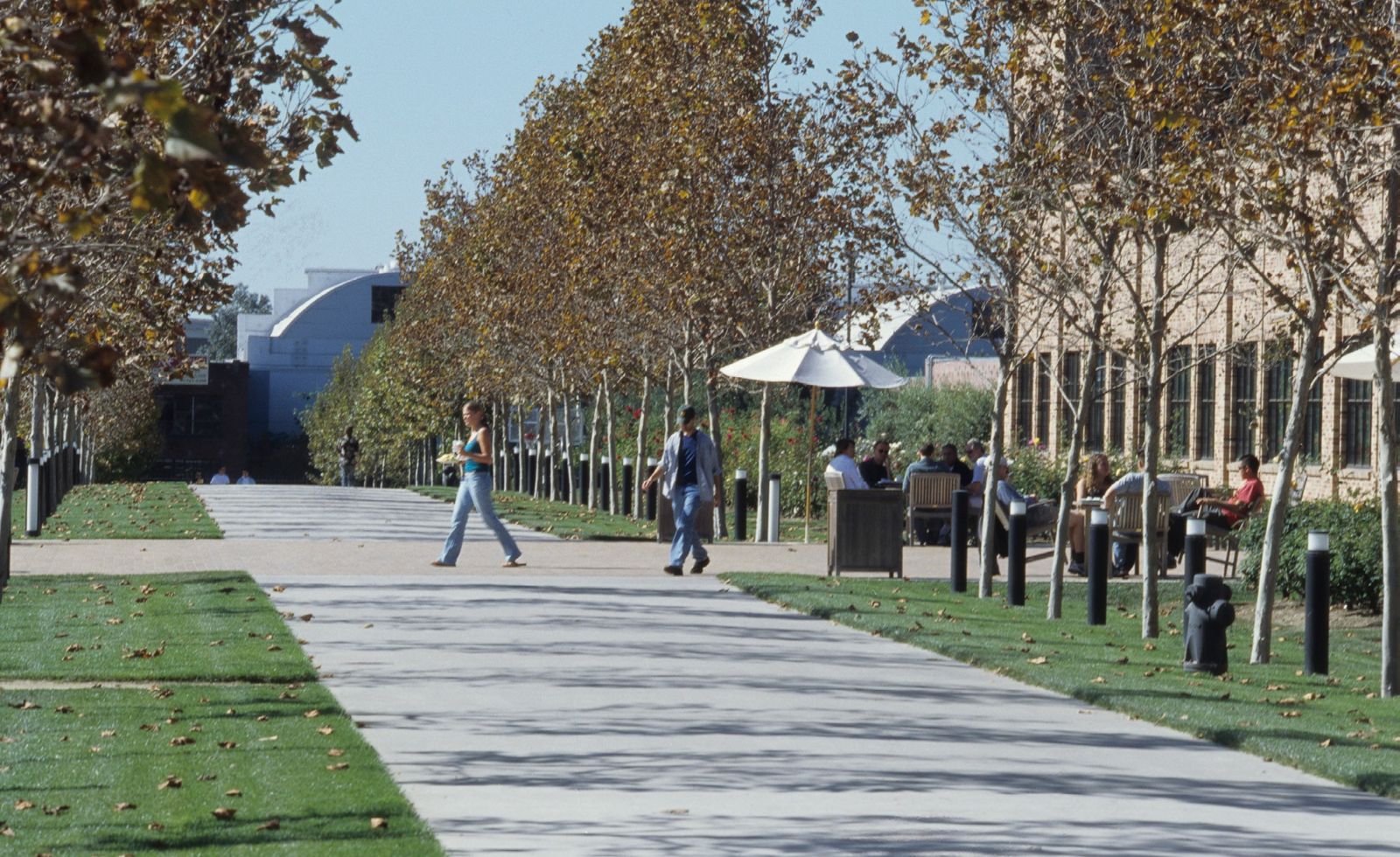 Pixar Animation Studios: Paved path between rows of trees and a lawn