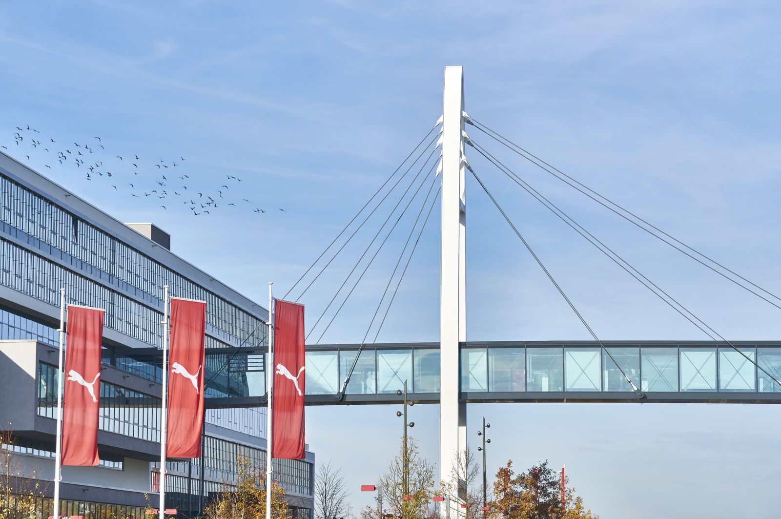 PUMA: Skywalk bridge and red PUMA flags