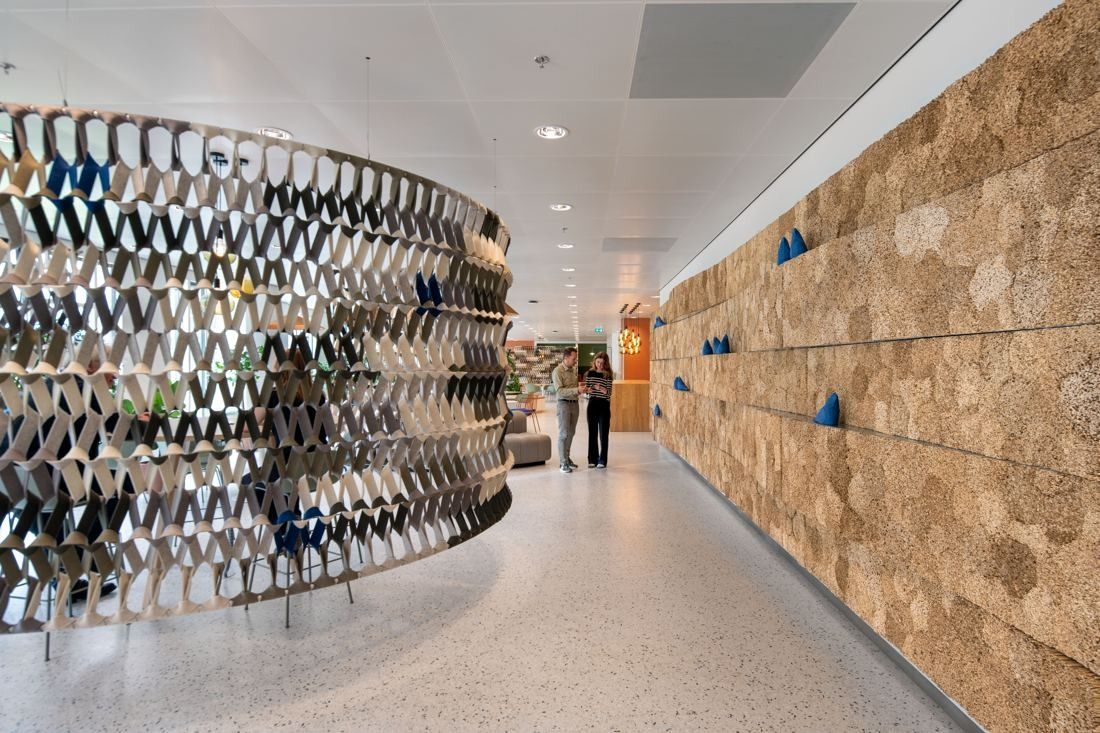 Rabobank: Corridor between a curved lattice partition with blue accents and a textured natural-fibre wall