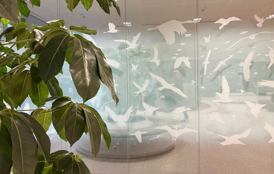 Rabobank: Frosted glass partition printed with white birds, seen through the leaves of a plant