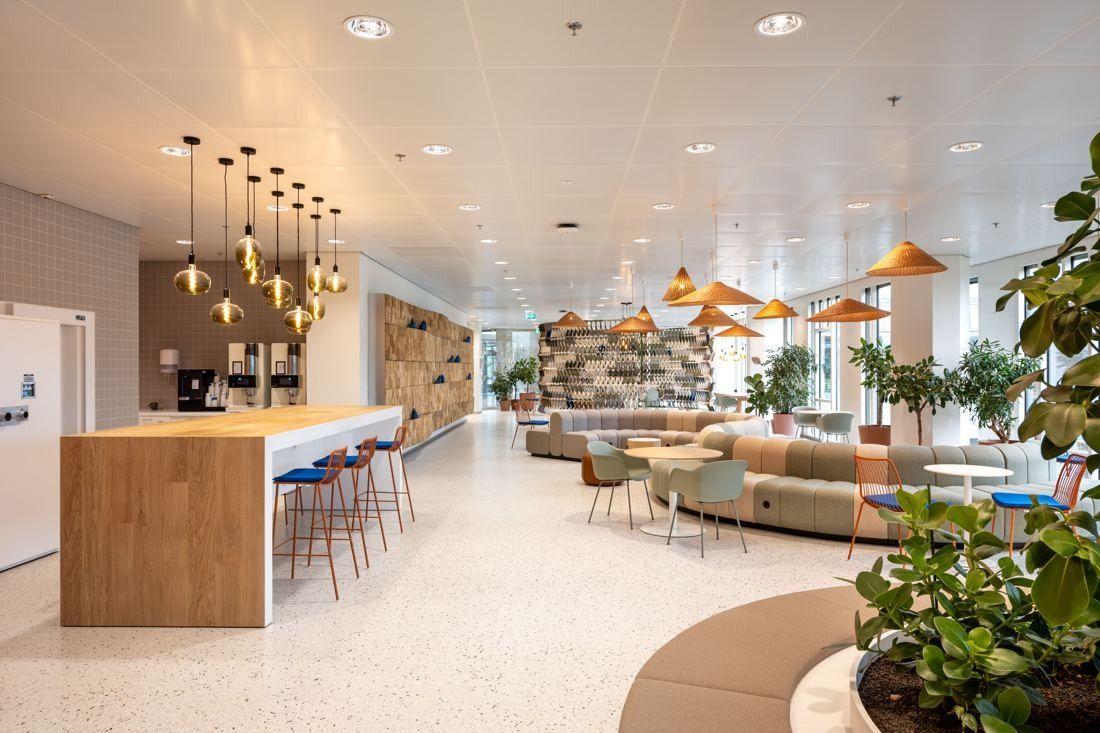 Rabobank: Long open lounge with a wooden bar counter, pendant lamps, sofas and planters, and a textured wall at the far end
