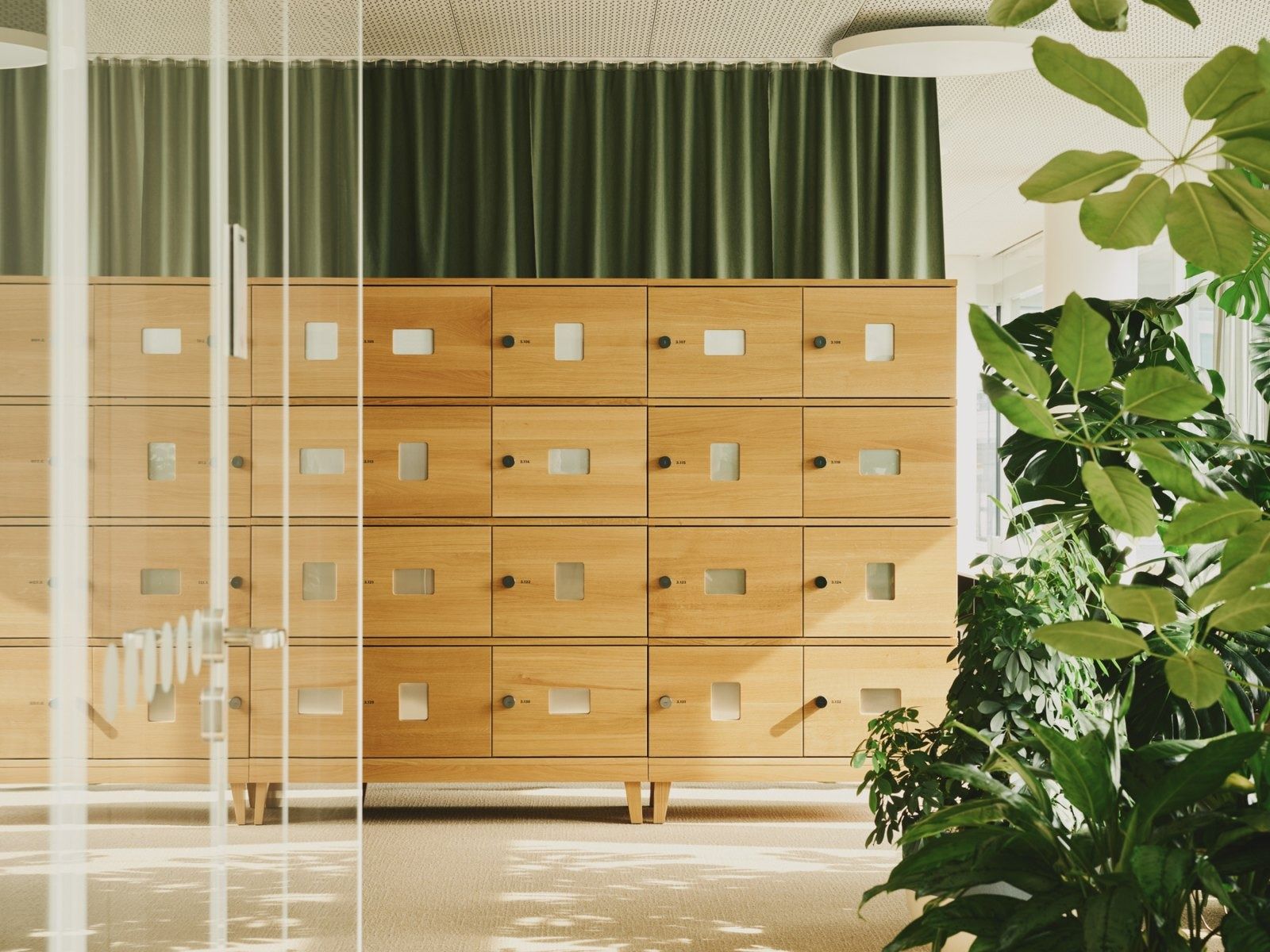 Roche: Wooden lockers beside a green curtain and plants