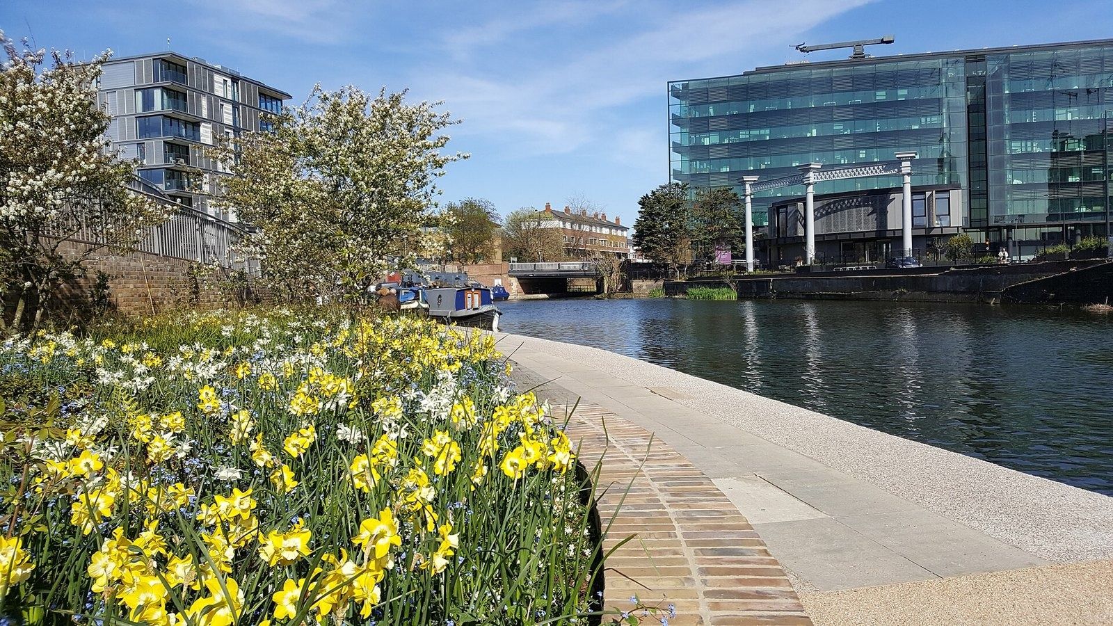 Rolls-Royce: Canal towpath with daffodils in the foreground and a glass office building in the distance