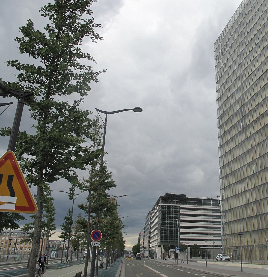 Wide tree-lined avenue under a grey sky, a glass tower on the right and office buildings in the distance