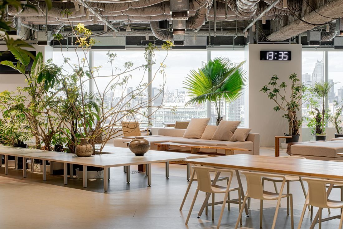 Sansan: Lounge with sofas, low tables and large potted plants in front of floor-to-ceiling windows