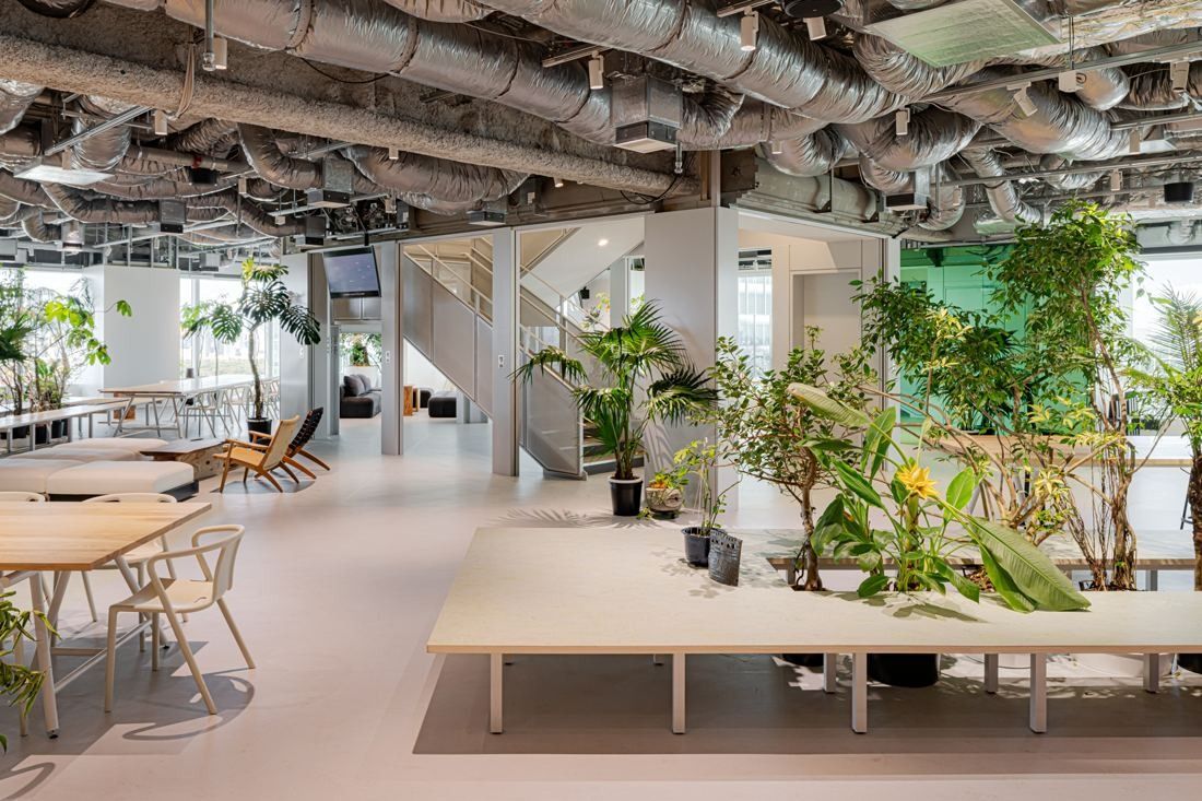 Sansan: Open area with tables, plants and a staircase in the background