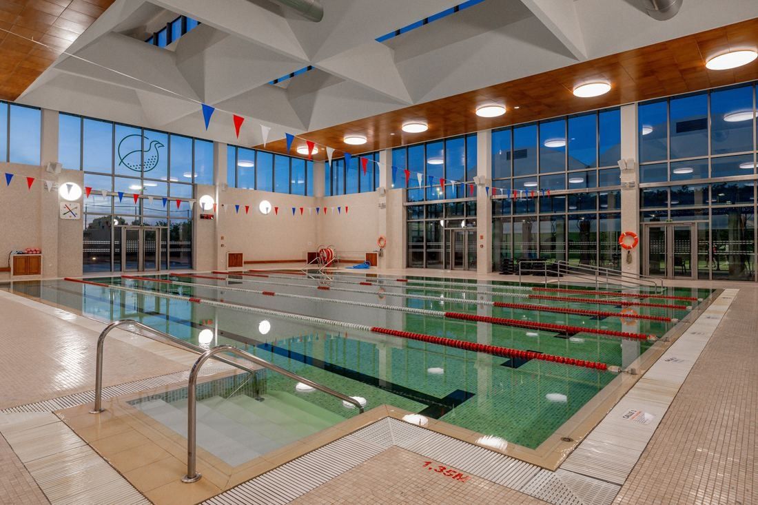 Banco Santander: Indoor swimming pool with lane ropes under a timber ceiling and tall windows