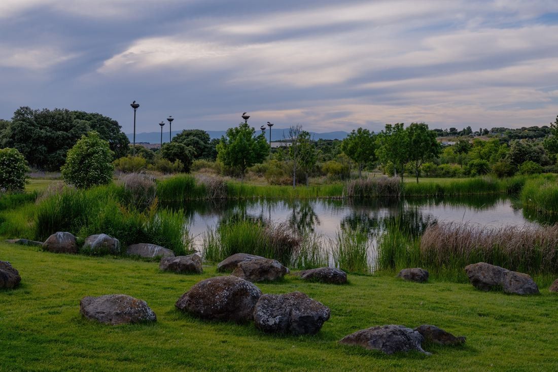 Banco Santander: Pond with reeds and large stones in a natural landscape