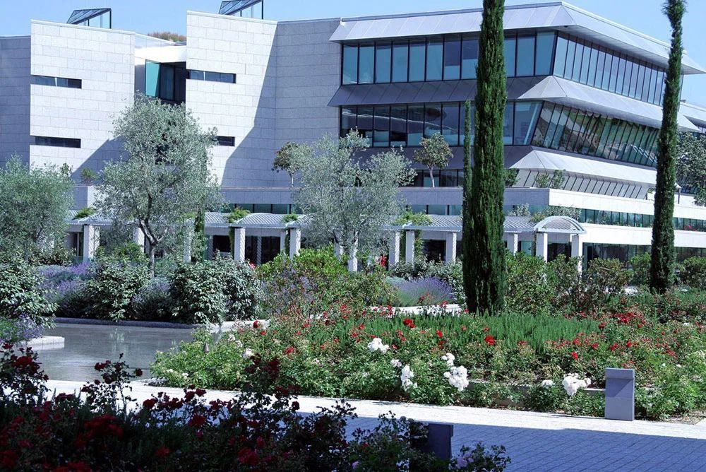 Banco Santander: Terraced office buildings with flower beds and olive trees in front