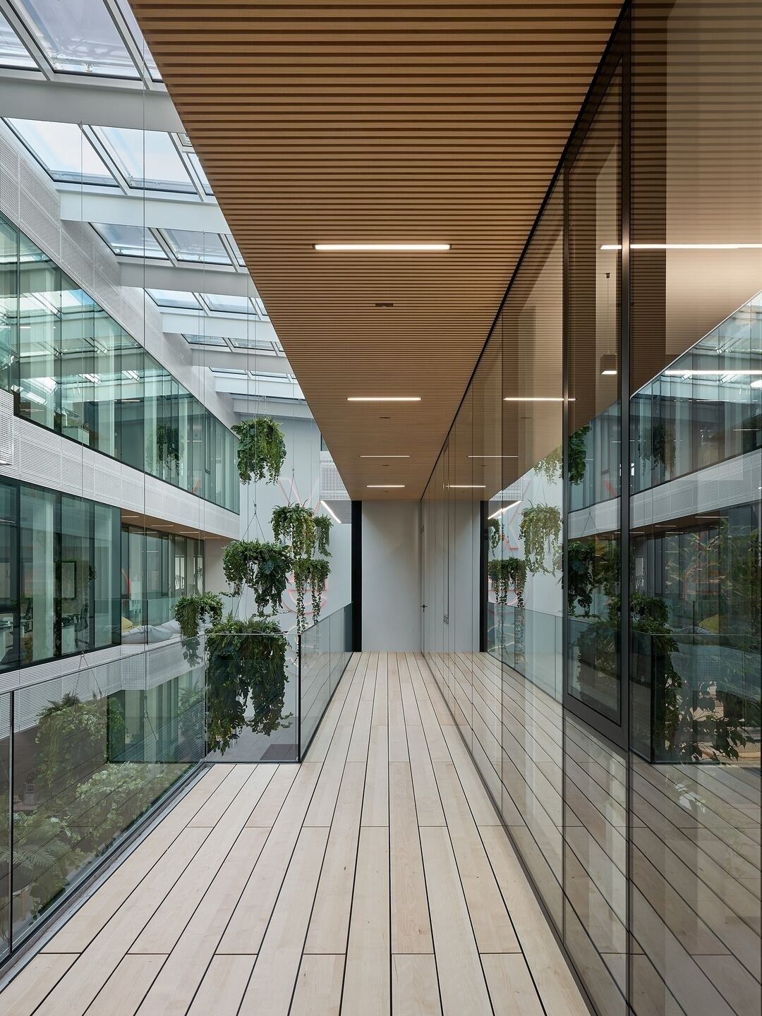 SAP: A wooden balcony walkway
