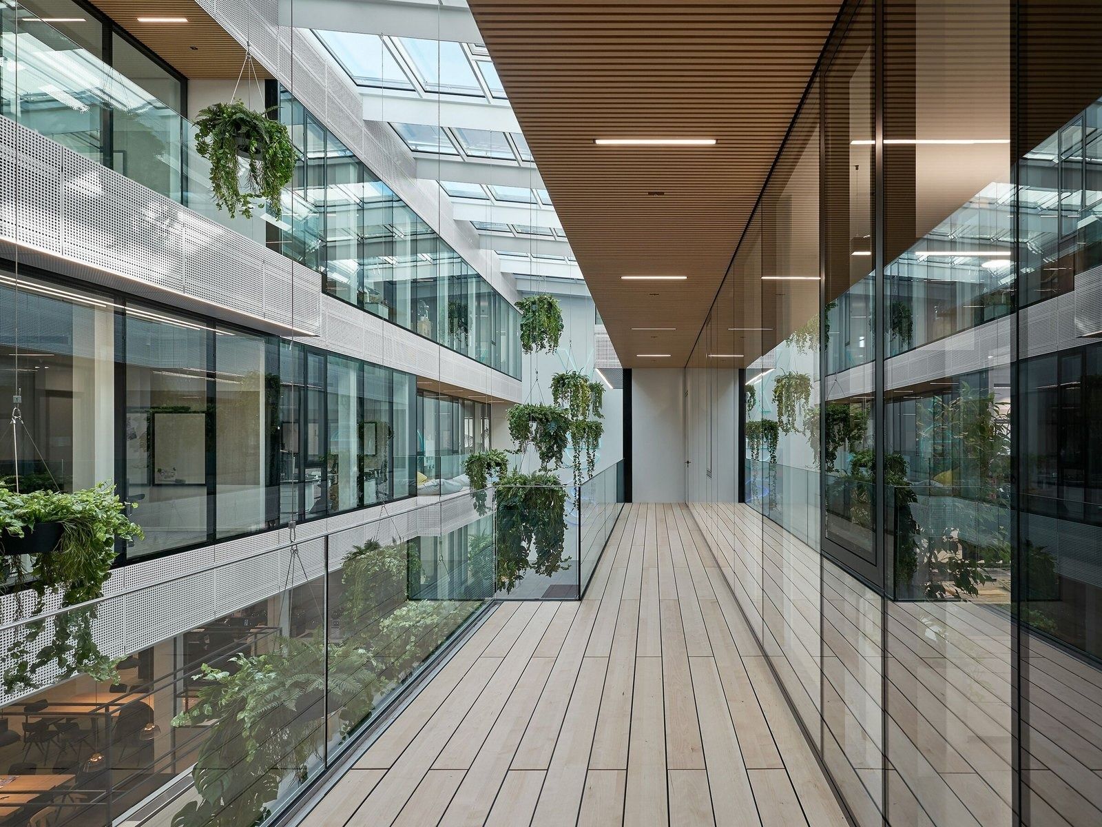 SAP: A wooden walkway along a planted atrium