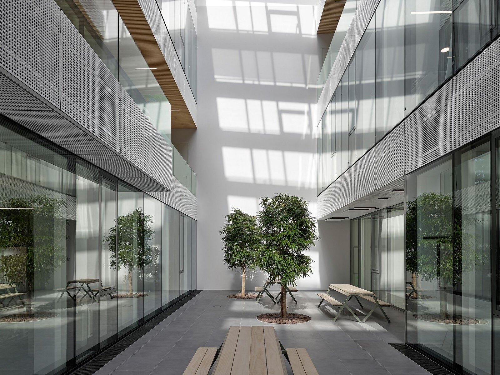SAP: Trees in a skylit courtyard