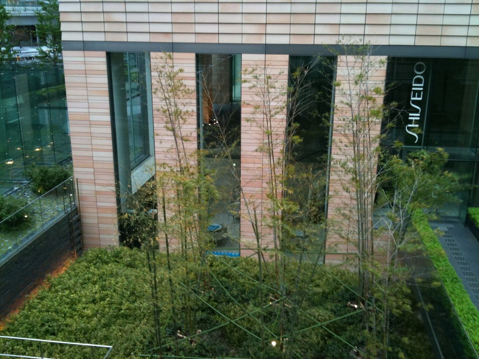 Shiseido: Bamboo grove in front of a glass building
