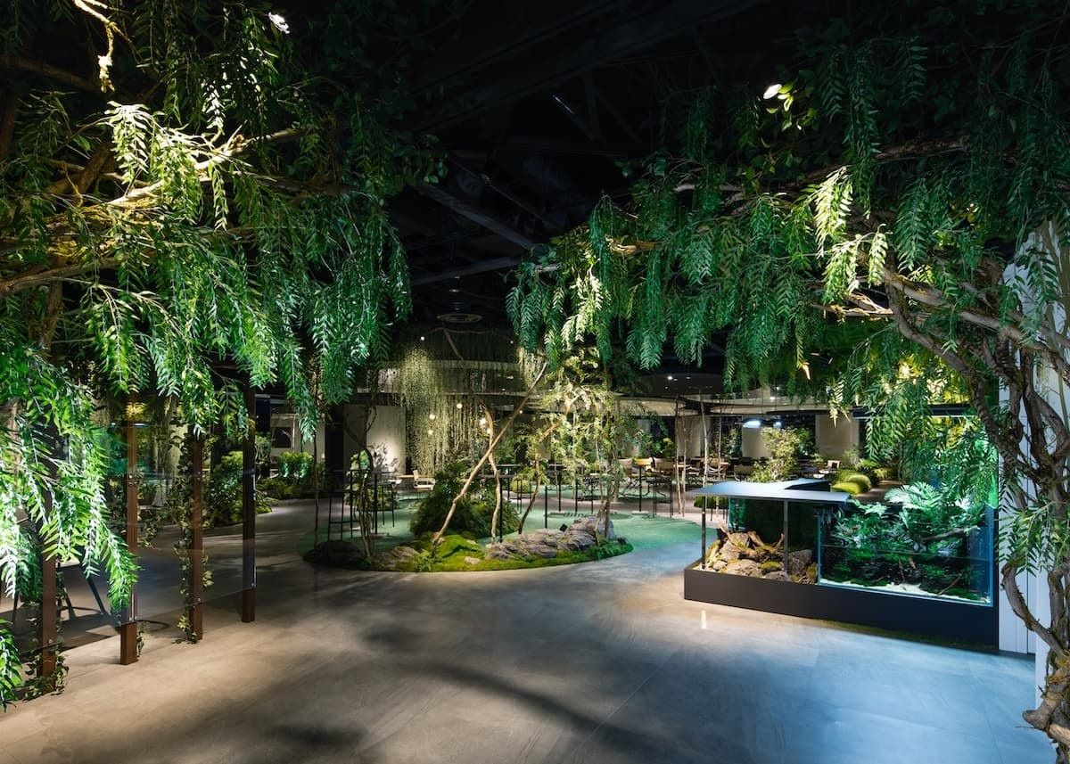 Dim room filled with ferns, moss and hanging wisteria over a path