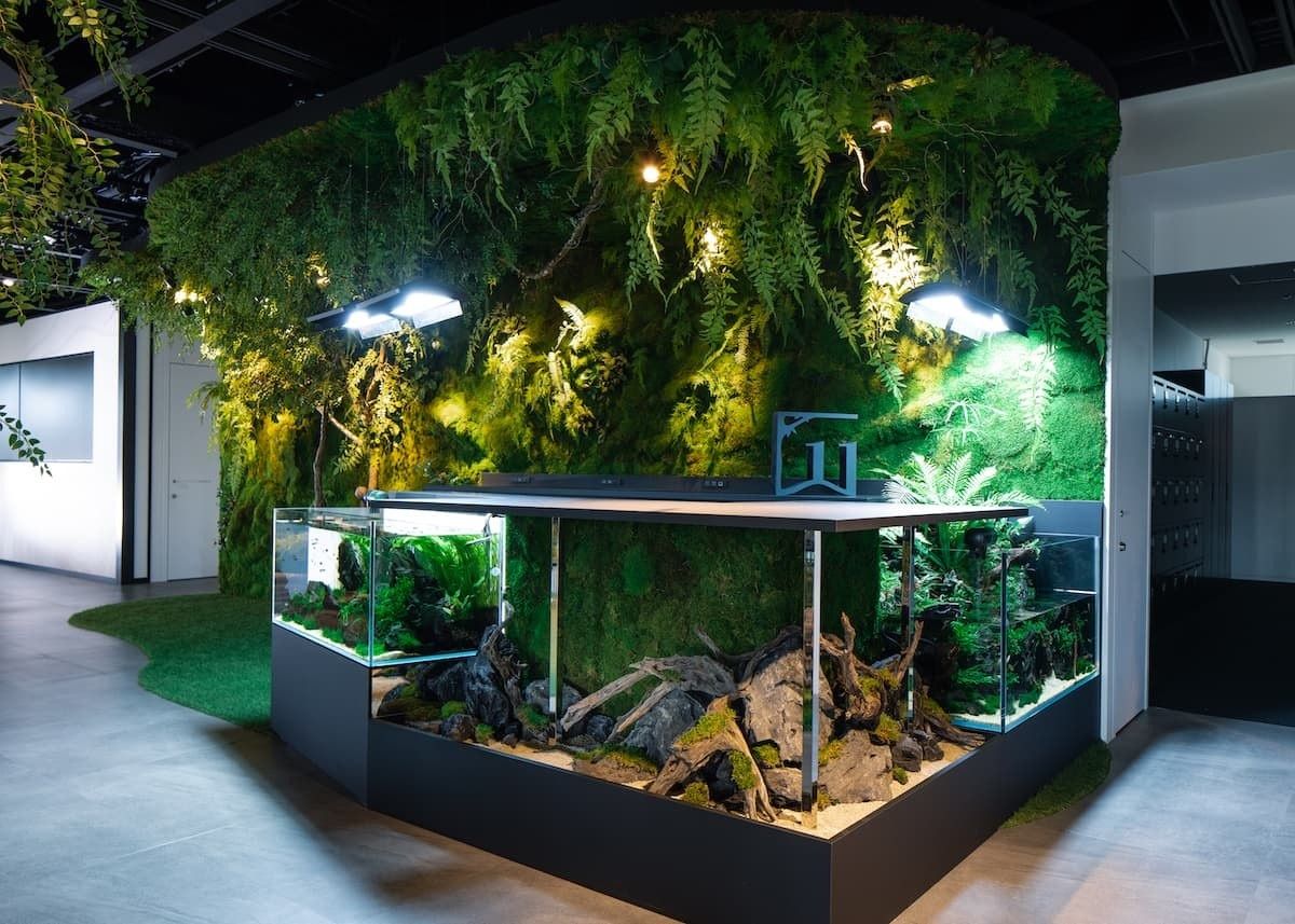 Shiseido: Glass aquarium with plants and driftwood in a dark room