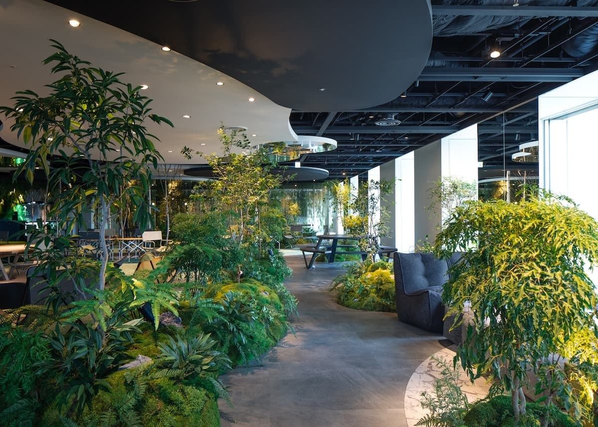 Shiseido: Path between dense tropical plants and desks