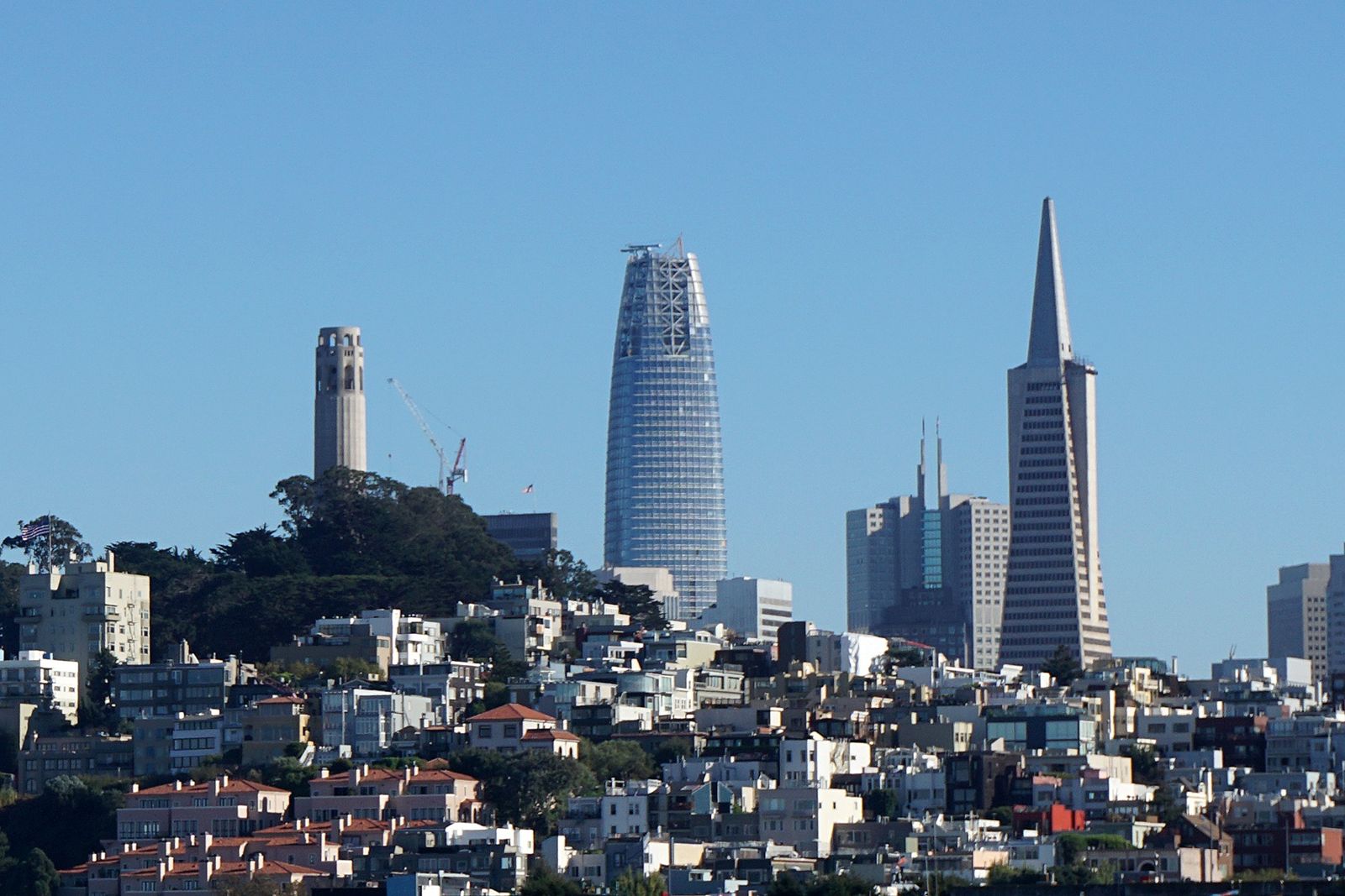 San Francisco skyline with the tapered Salesforce Tower between Coit Tower and the Transamerica Pyramid