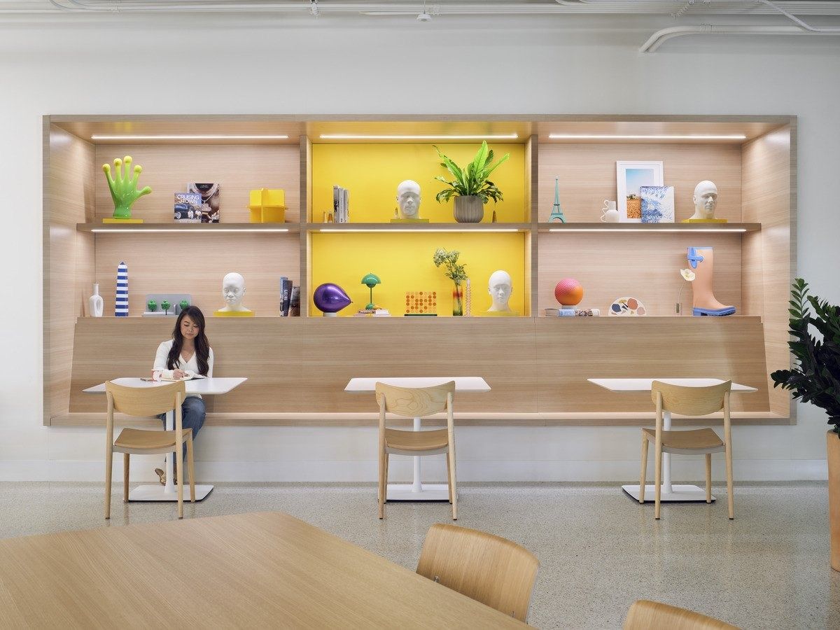 Snap: A counter in front of shelves of toys and plants