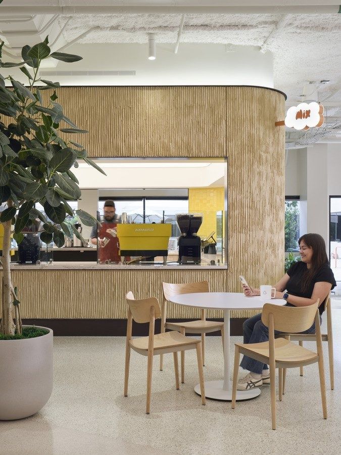 Snap: A small coffee bar framed in timber