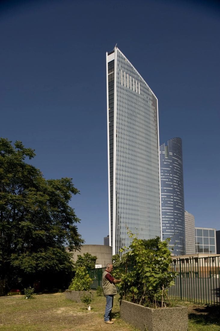 Société Générale: Slim faceted glass tower rising above trees, seen from a garden