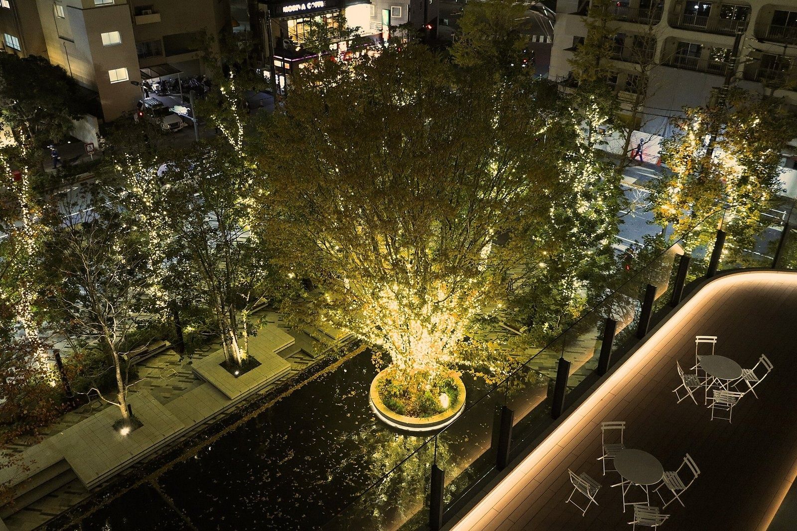 SoftBank Group: Lit trees and a pool in a garden at night
