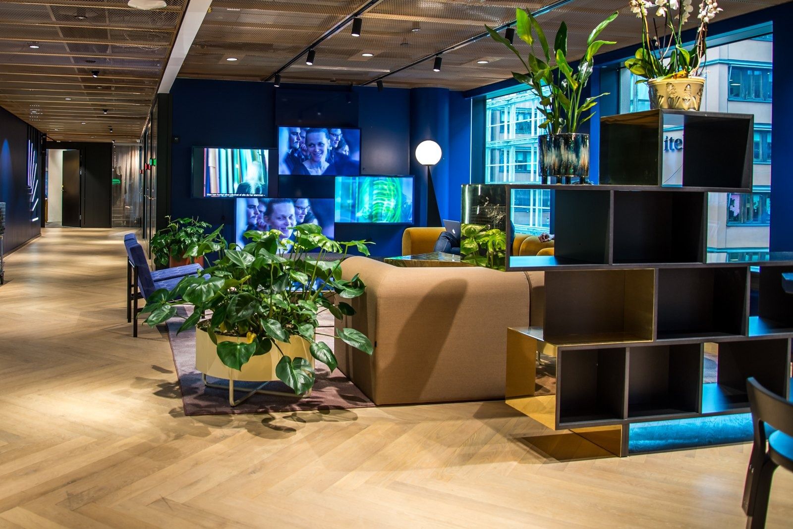 Spotify: A lounge with plants and screens