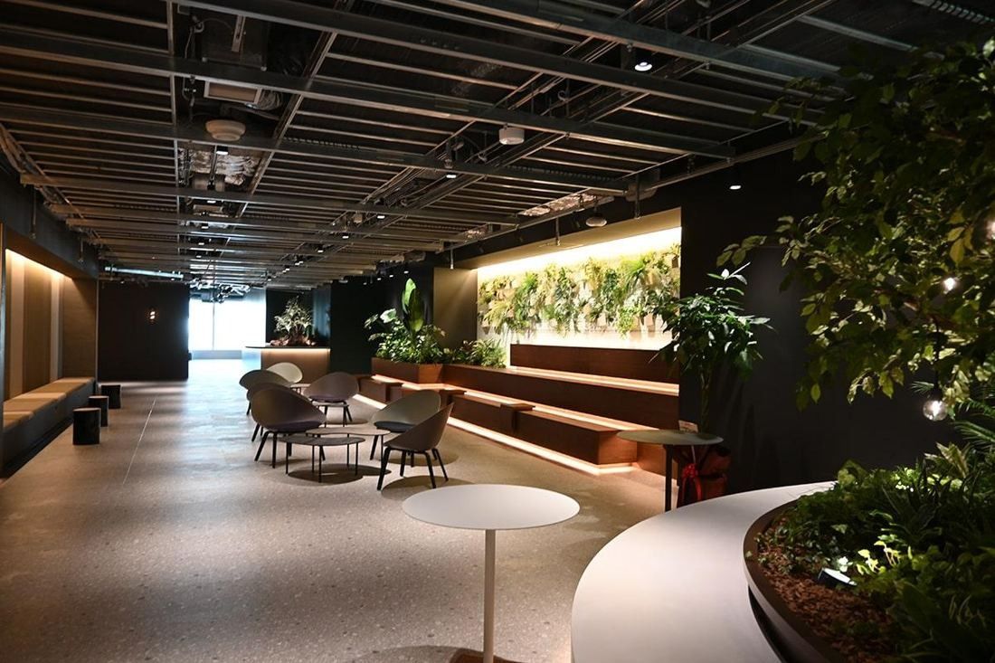 Square Enix: Dim lounge with stepped seating, plants and a lit green wall