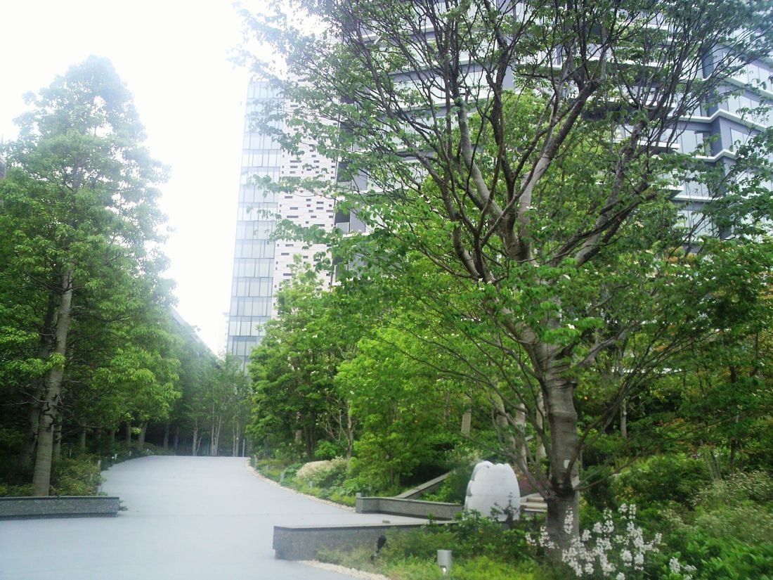 Square Enix: Tree-lined walking path through a green garden beside tall buildings