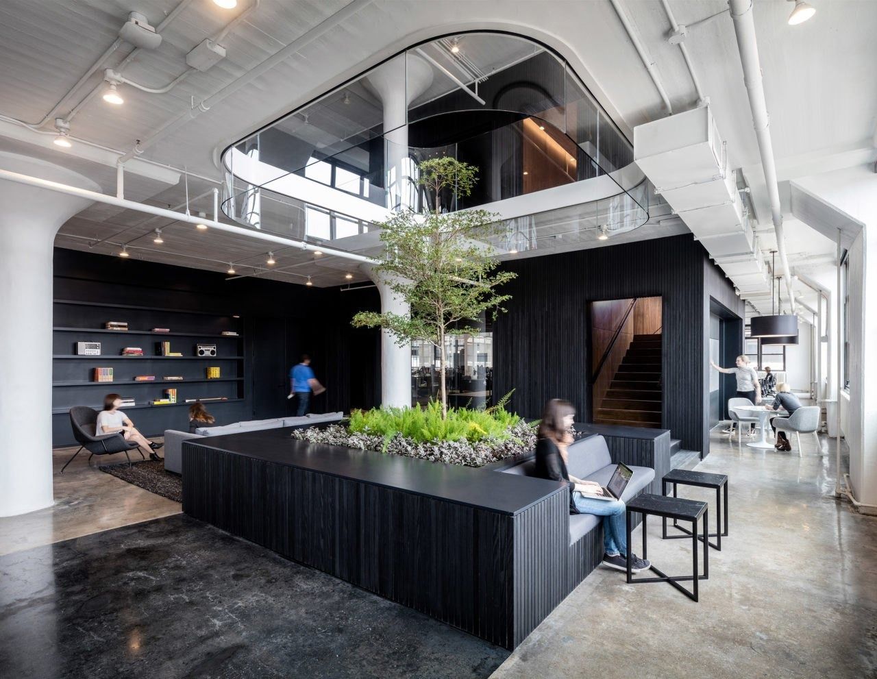 Squarespace: Black planter with a tree in a double-height space with a curved opening above, shelving and lounge seating