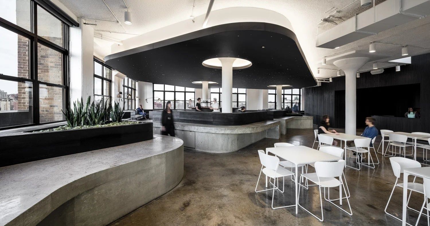 Squarespace: Café area with a long curved concrete counter, planters and white chairs under a black curved ceiling