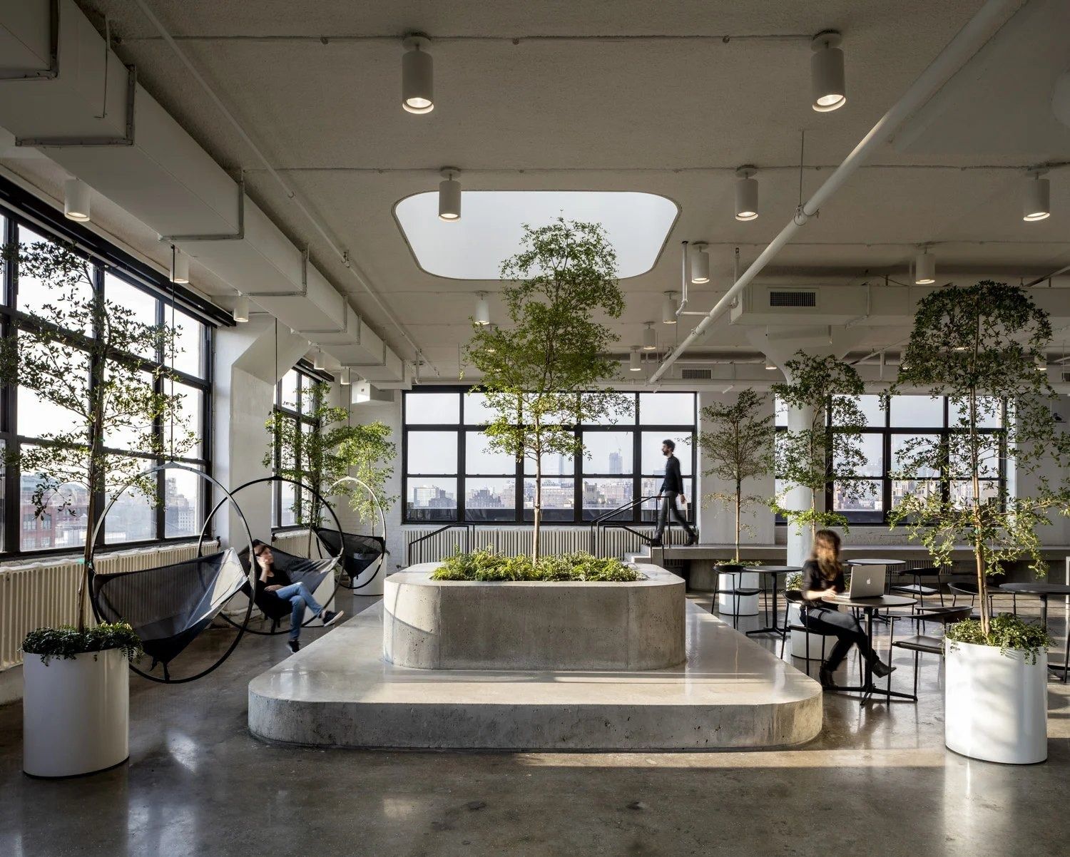 Squarespace: Open floor with a large concrete planter holding trees under a rounded skylight opening, with hanging chairs and tables by tall factory windows