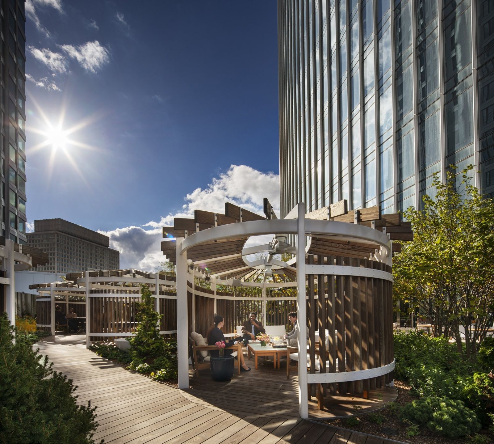 State Street: Rooftop terrace with a timber pavilion and planting