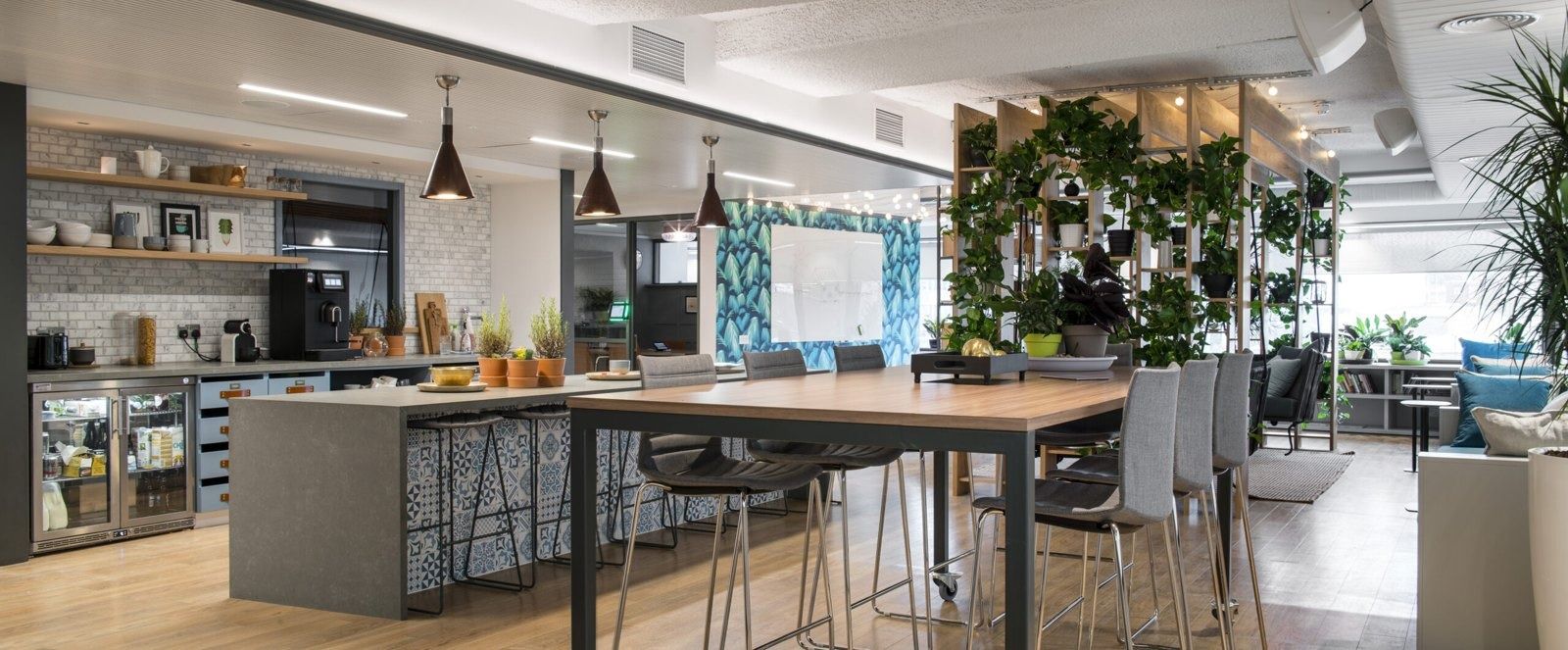 Stripe: A kitchen with plants