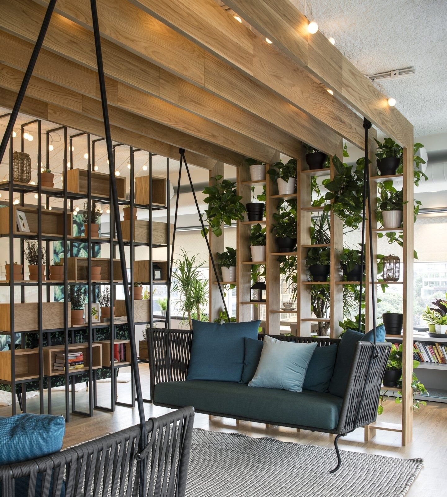 Stripe: Shelving with plants beside a sofa