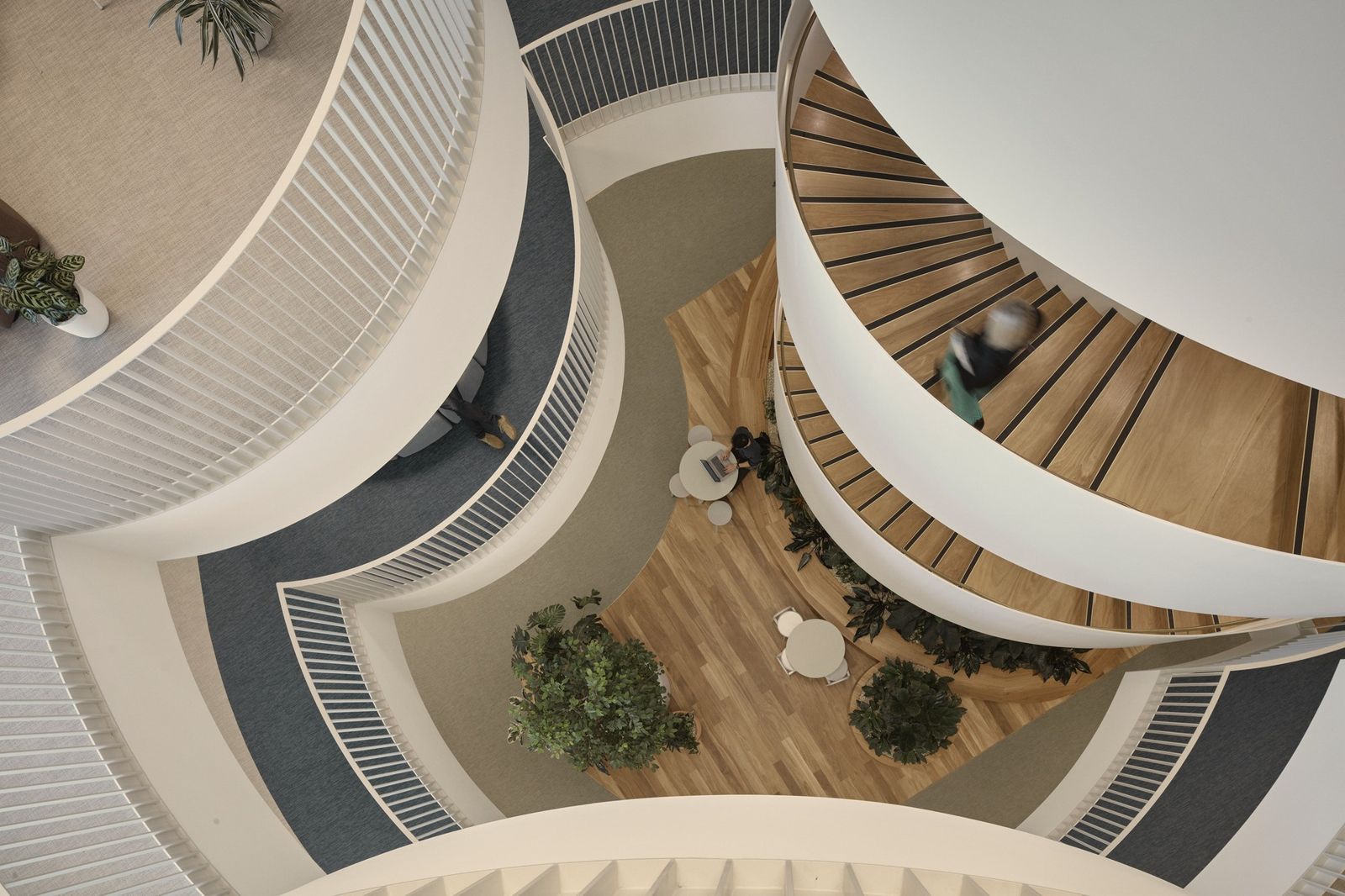 Looking down a white spiral staircase with timber treads and plants on each landing