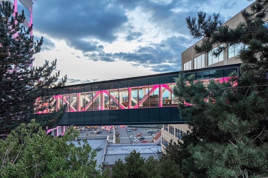 T-Mobile US: Glass skybridge with magenta trusses seen through trees