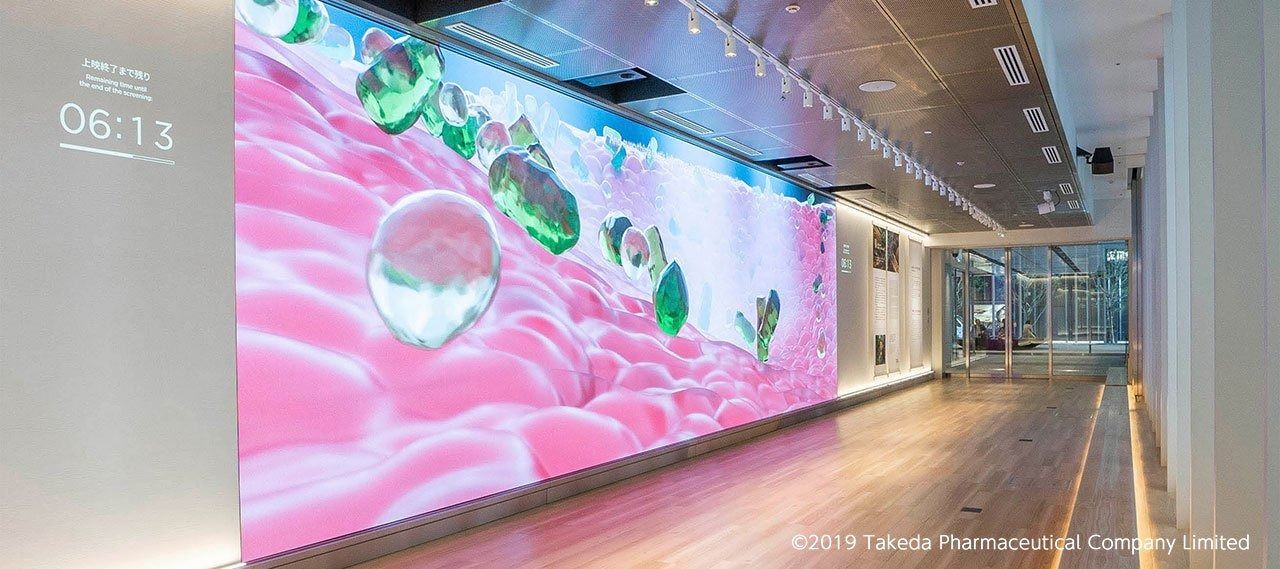 Takeda: Large digital art wall in a white gallery