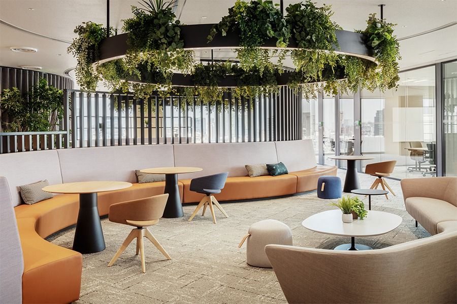 Takeda: Lounge with curved sofas under a ring of hanging plants