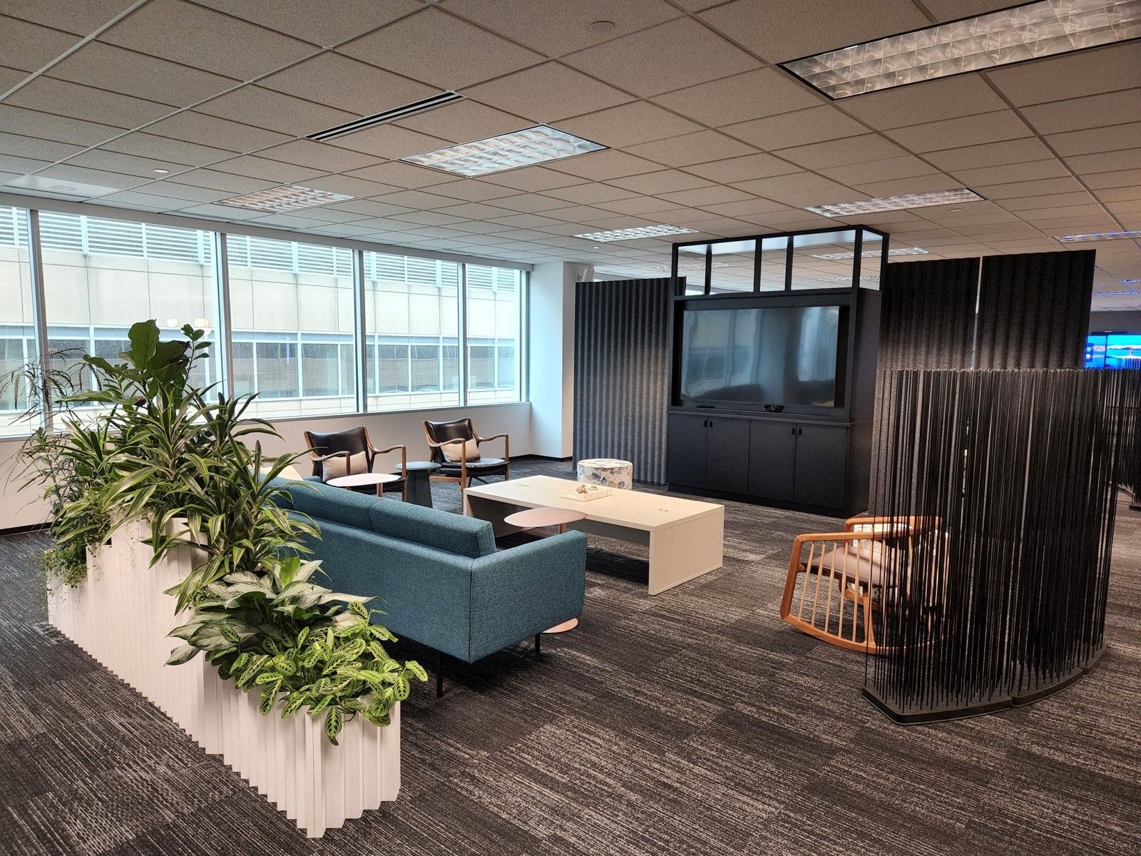 Target: Lounge with sofas and a TV wall behind planters
