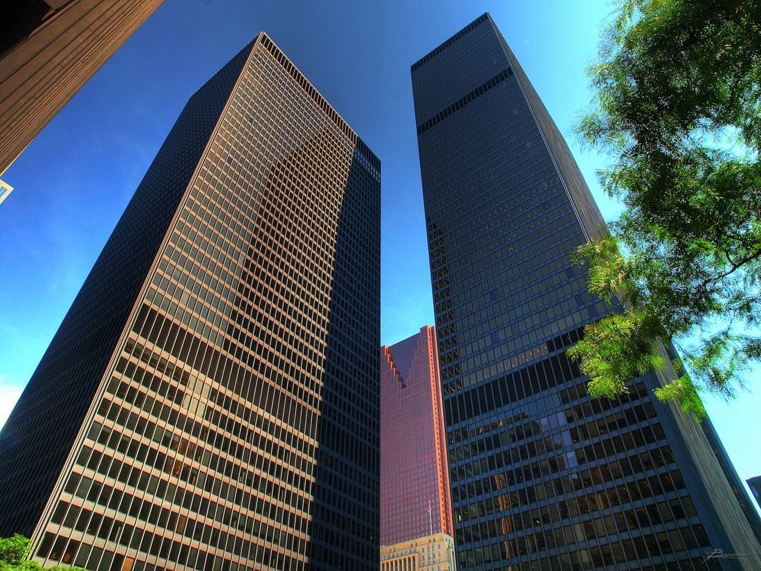 TD Bank Group (The Toronto-Dominion Bank): Looking up at two black towers with a tree in the corner