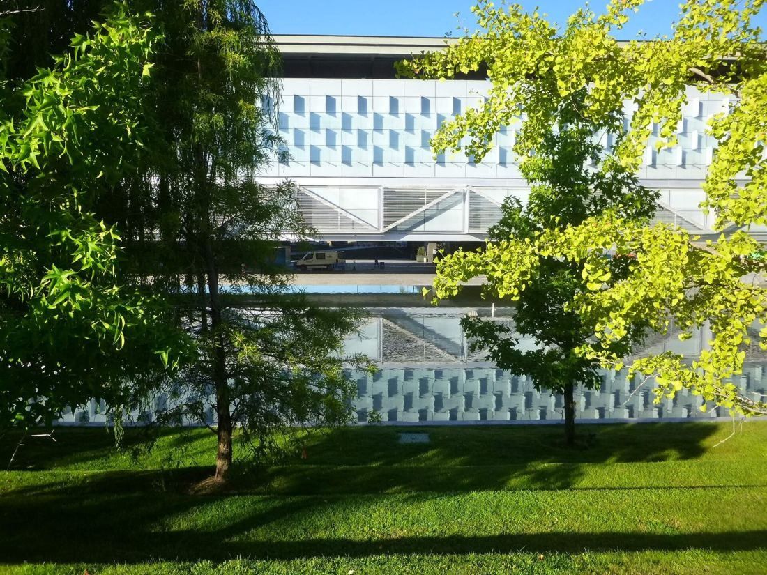 Telefónica: Bright green trees and lawn in front of a glass facade