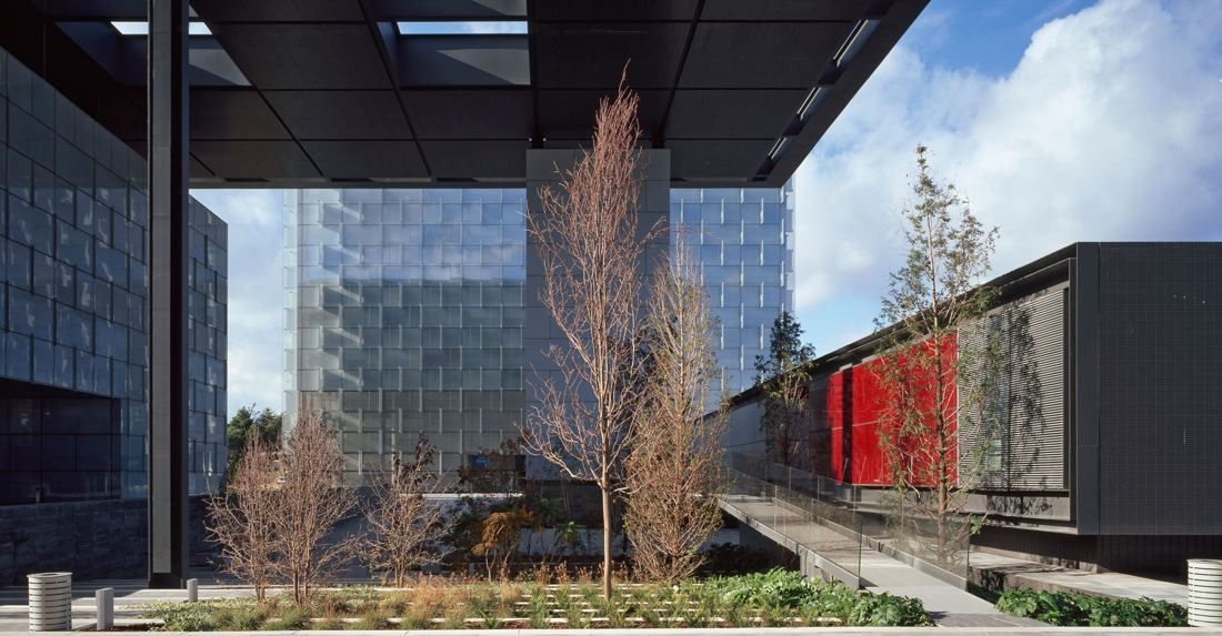 Telefónica: Courtyard garden with bare trees under a dark canopy, a red wall to one side