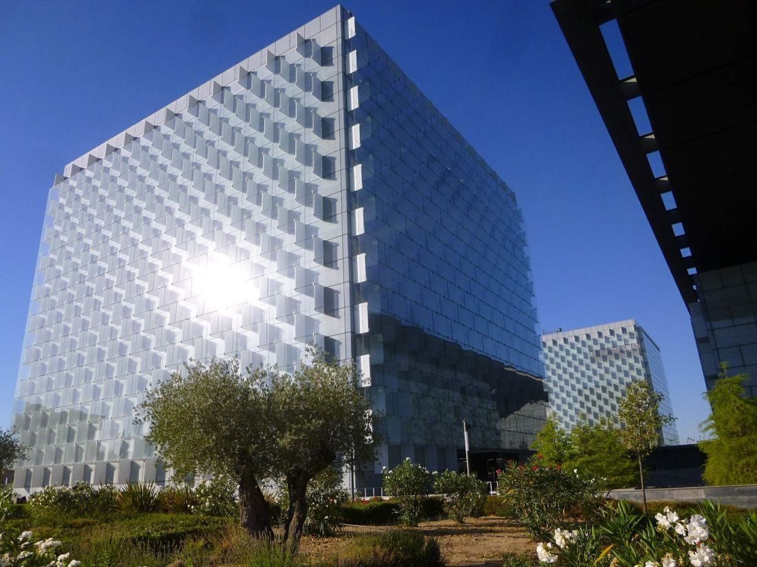 Telefónica: Glass tower reflecting the sun, an olive tree in the foreground