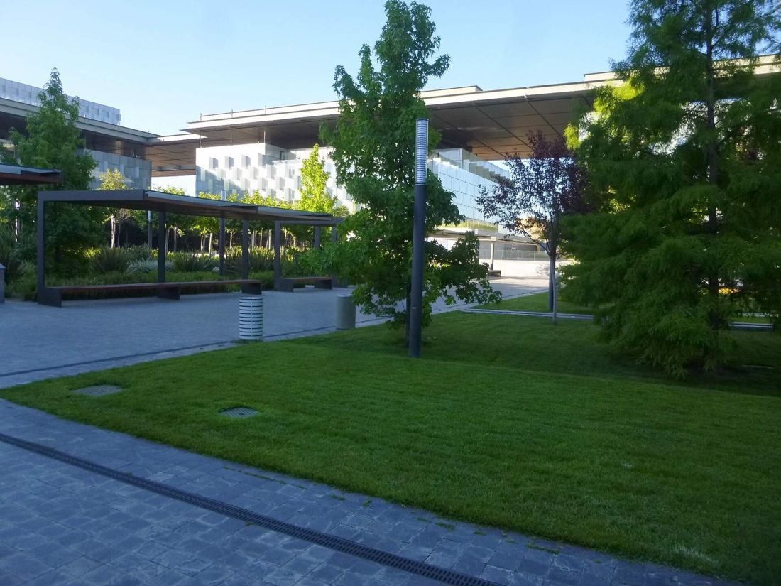 Telefónica: Lawn and trees between campus buildings on a sunny day