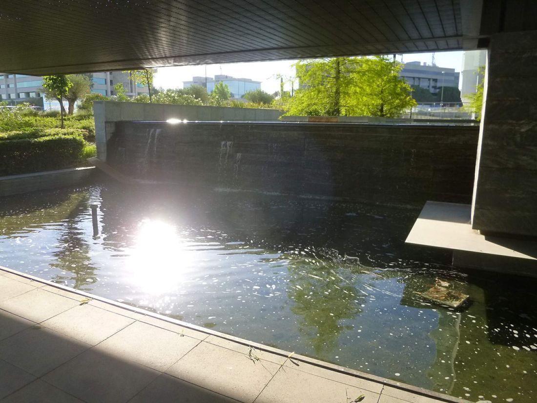 Telefónica: Sunlit pool of water beneath an overhanging roof, trees beyond